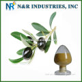 Good quality competitive price Olive Leaf Extract powder HPLC